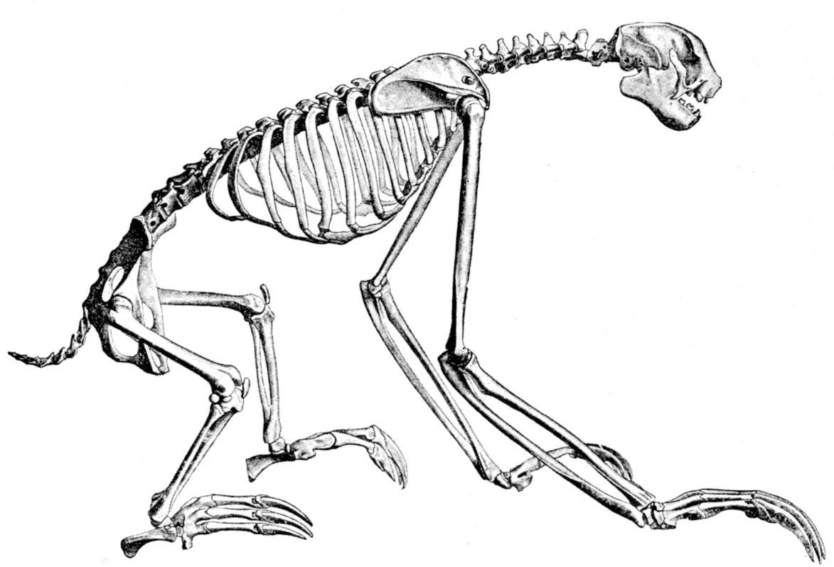 Fig. 98.