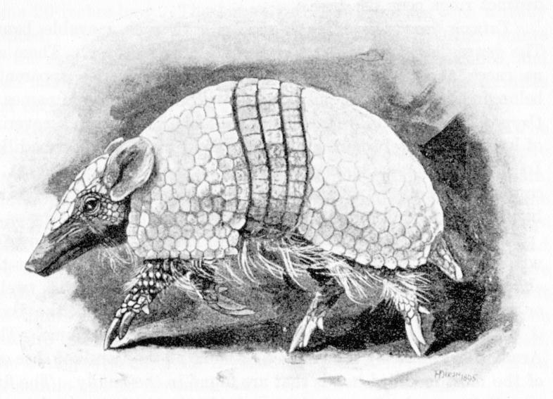 Fig. 103.