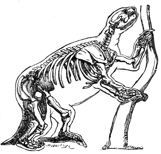 Fig. 105.