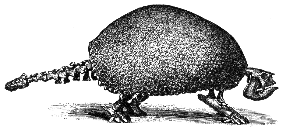 Fig. 106.