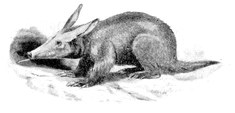 Fig. 107.