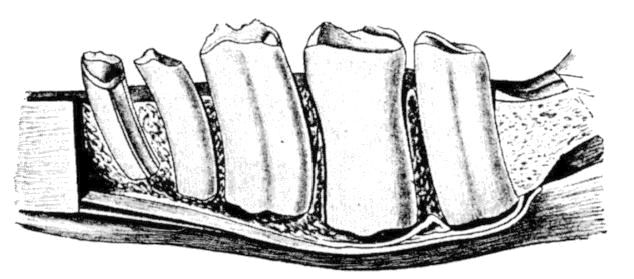 Fig. 108.