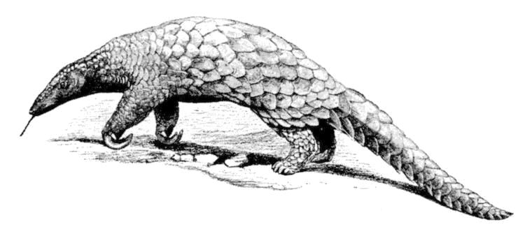 Fig. 109.