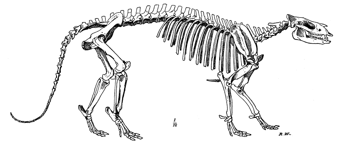 Fig. 110.