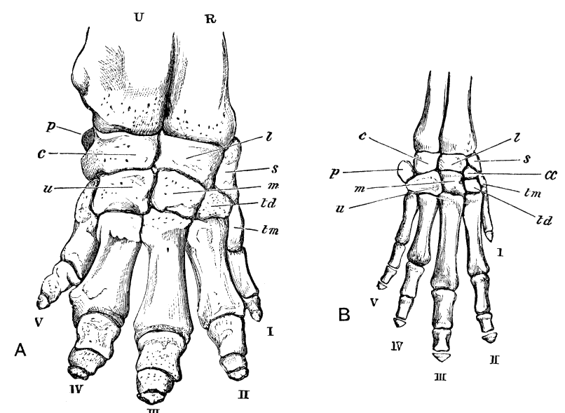 Fig. 112.