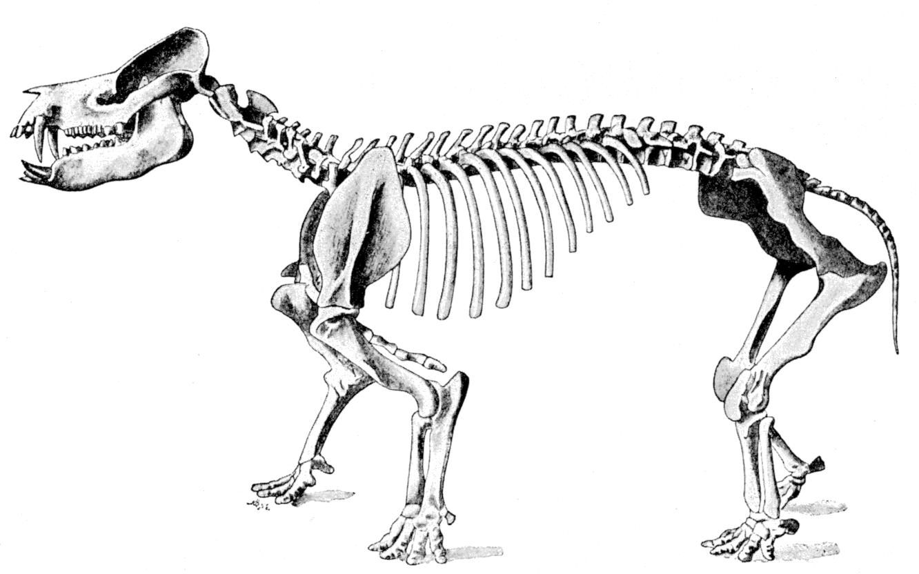 Fig. 115.