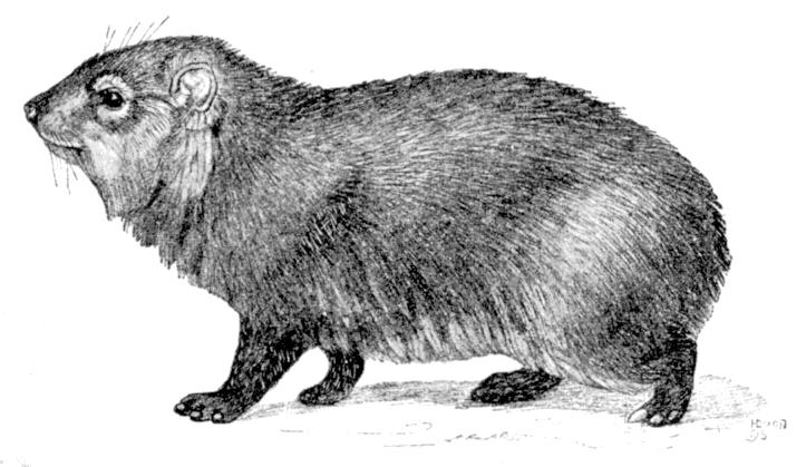 Fig. 120.