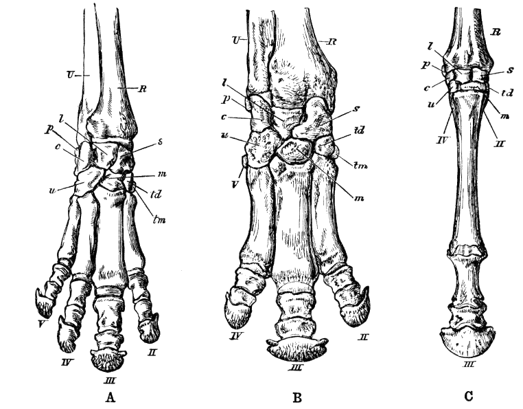 Fig. 121.