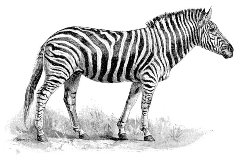 Fig. 127.