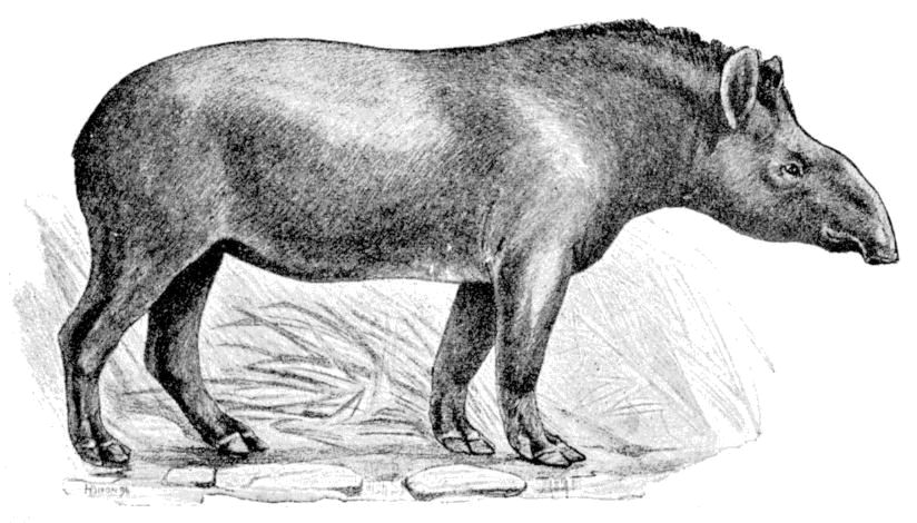 Fig. 128.