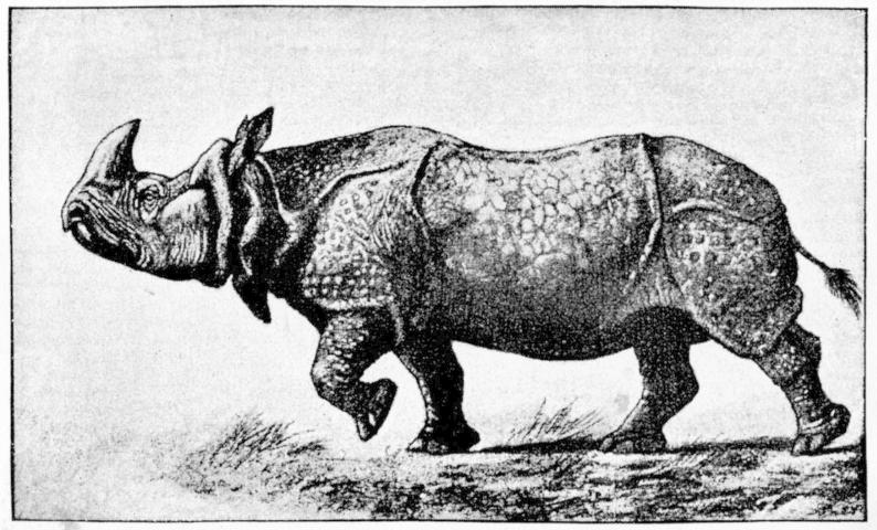 Fig. 130.