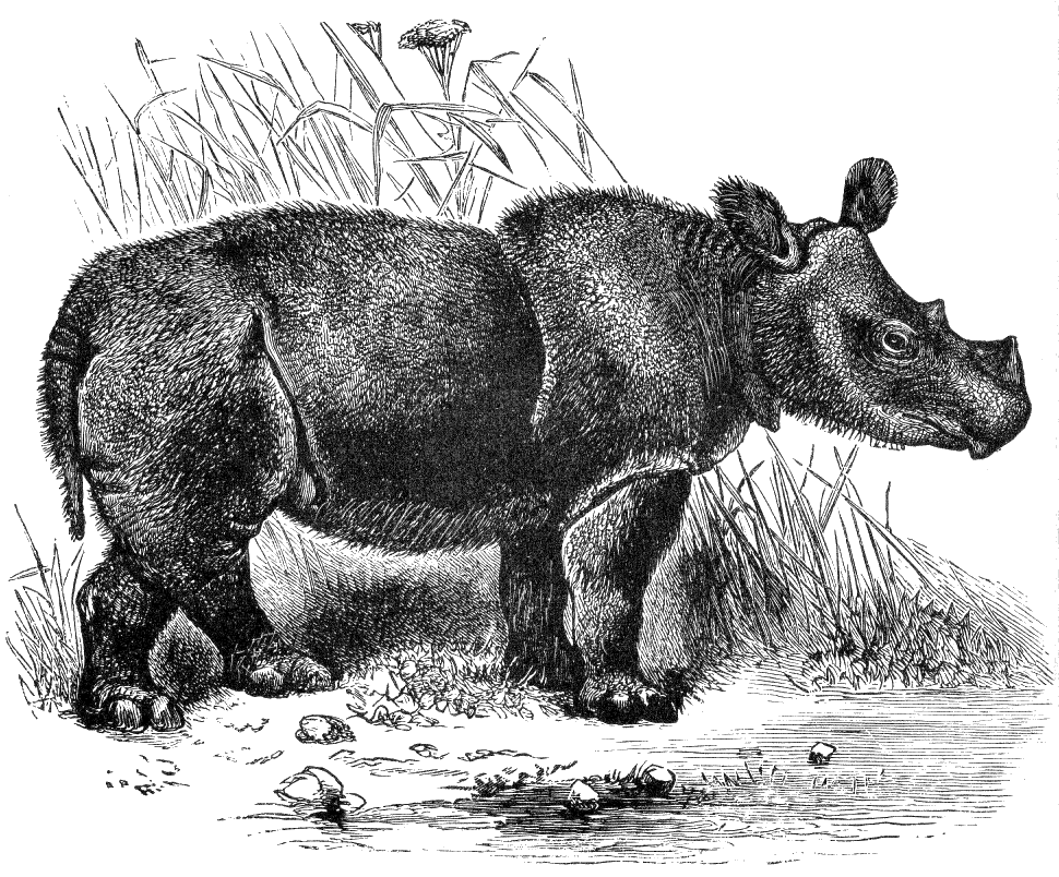 Fig. 131.