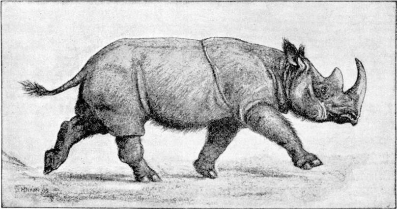 Fig. 132.