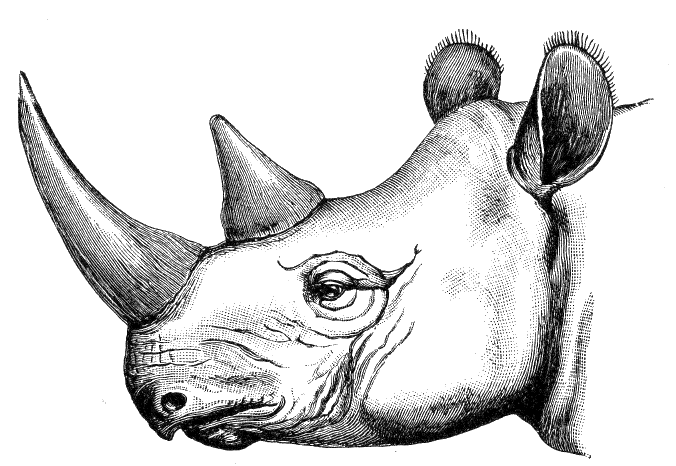 Fig. 133.