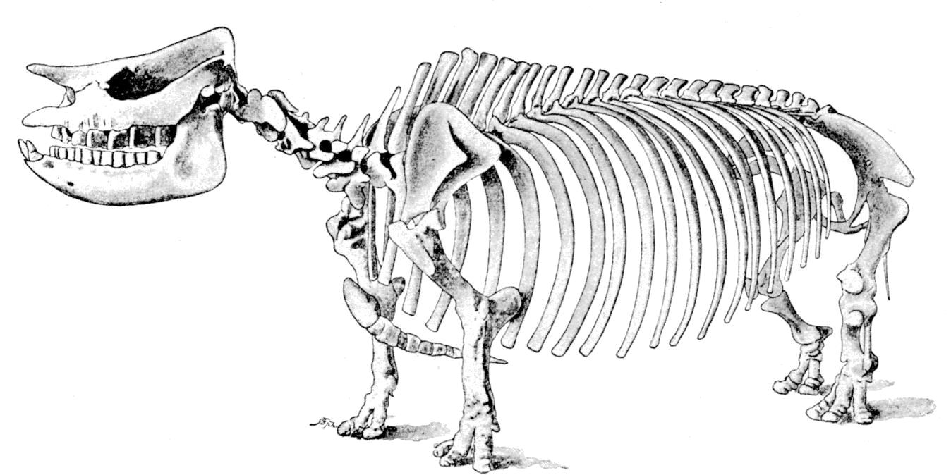 Fig. 135.