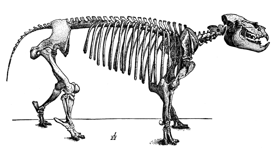Fig. 136.