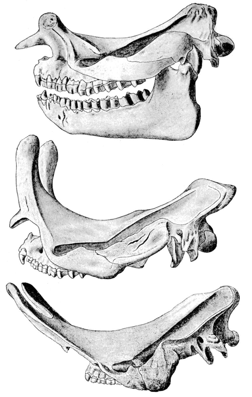 Fig. 137.
