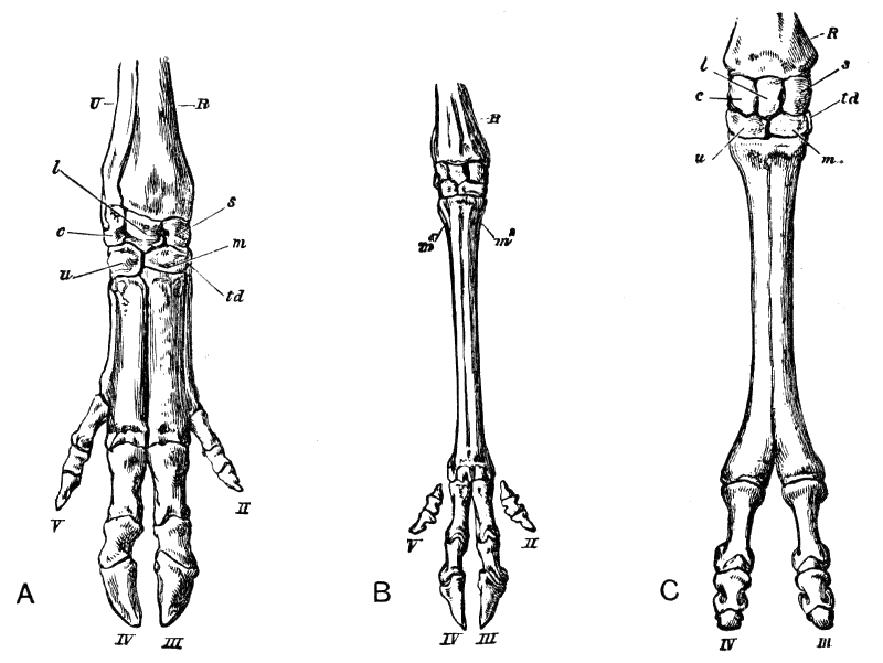 Fig. 138.