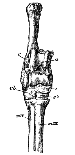 Fig. 139.