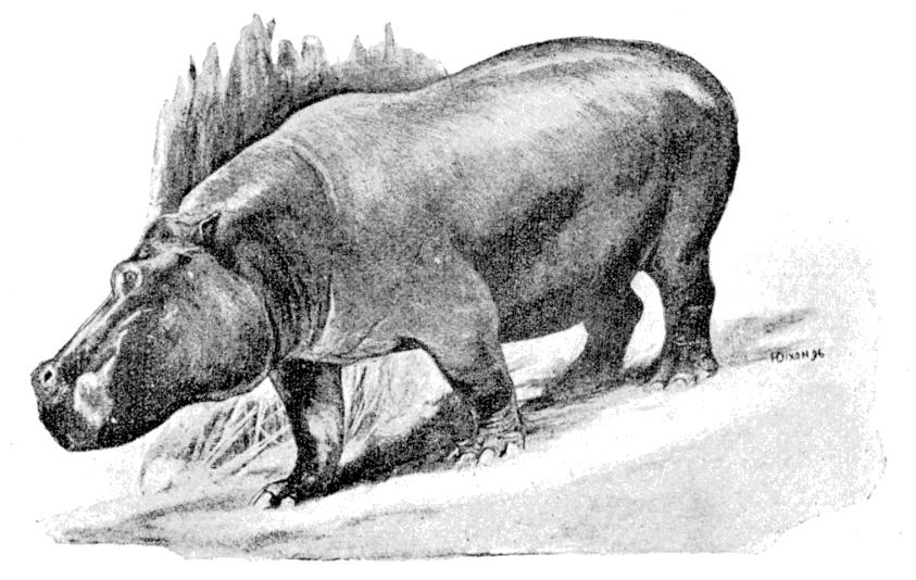 Fig. 140.