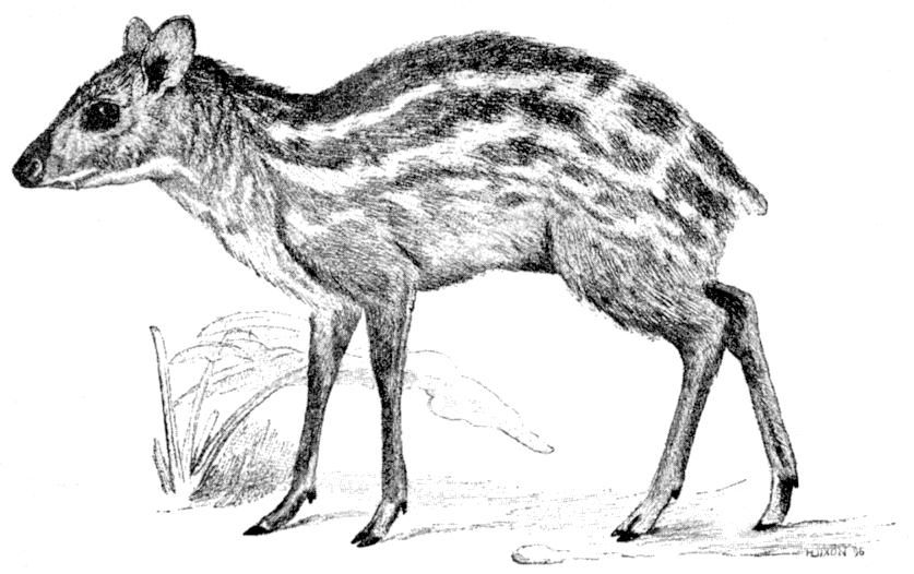 Fig. 147.