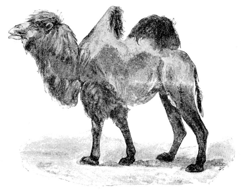 Fig. 148.