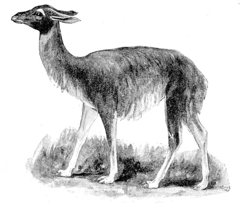 Fig. 149.