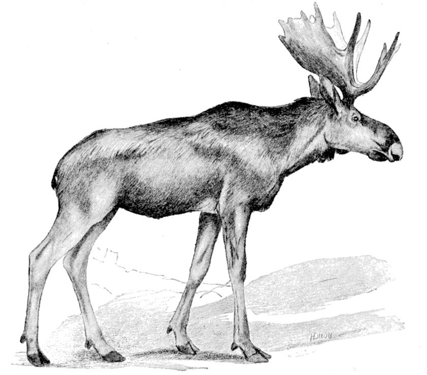 Fig. 156.