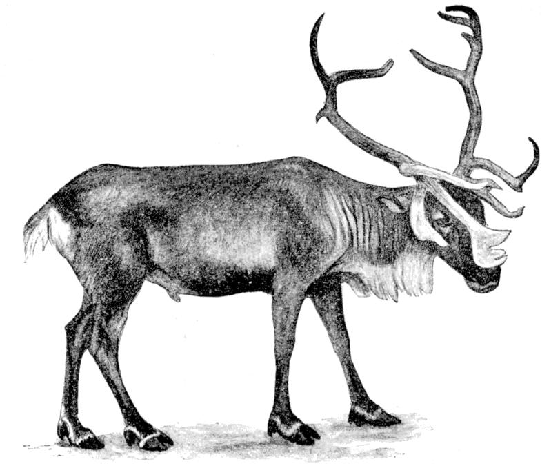 Fig. 157.