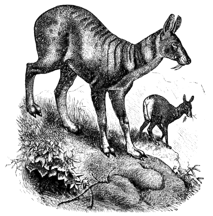 Fig. 158.