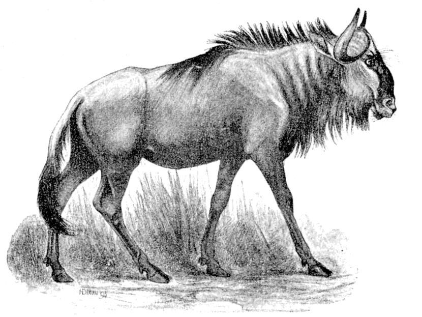 Fig. 160.