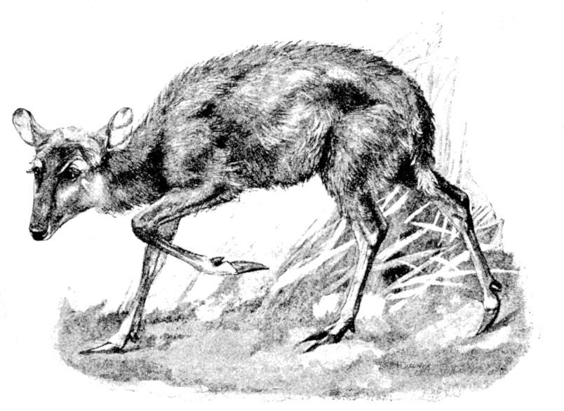 Fig. 164.