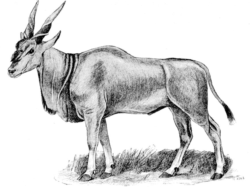 Fig. 165.