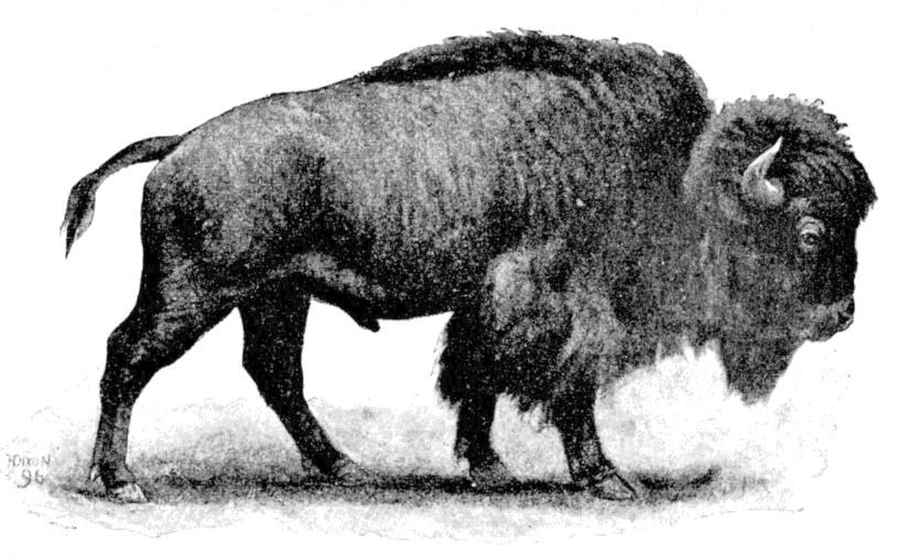 Fig. 167.