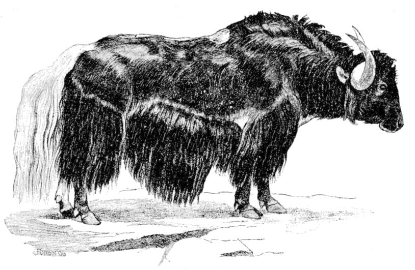 Fig. 168.