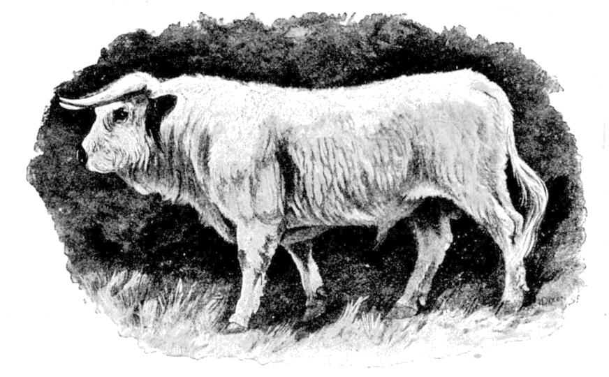 Fig. 169.