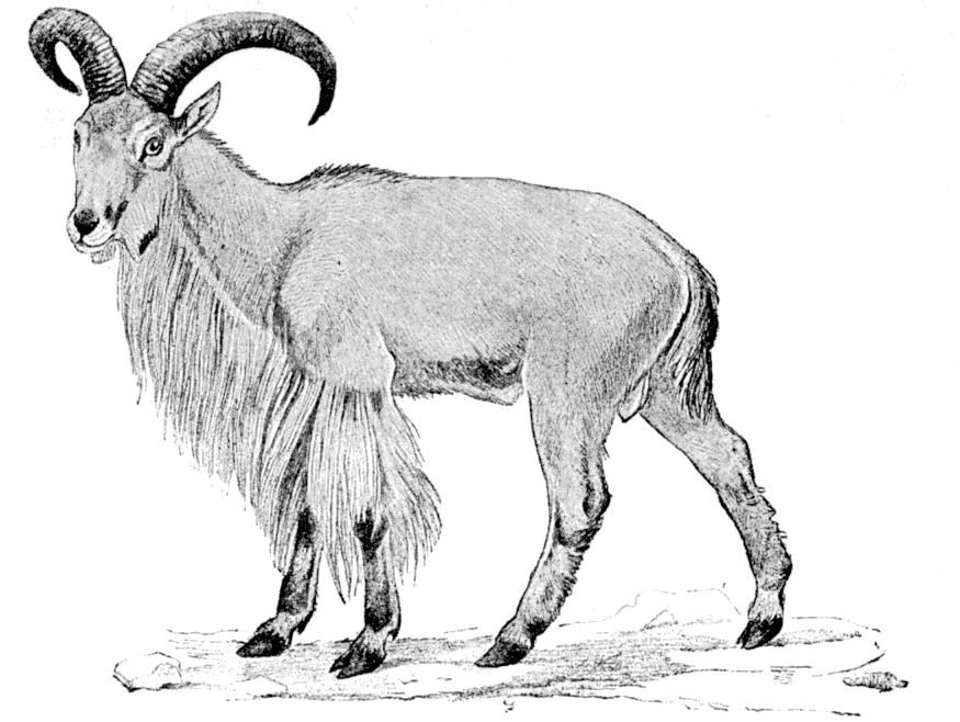 Fig. 173.