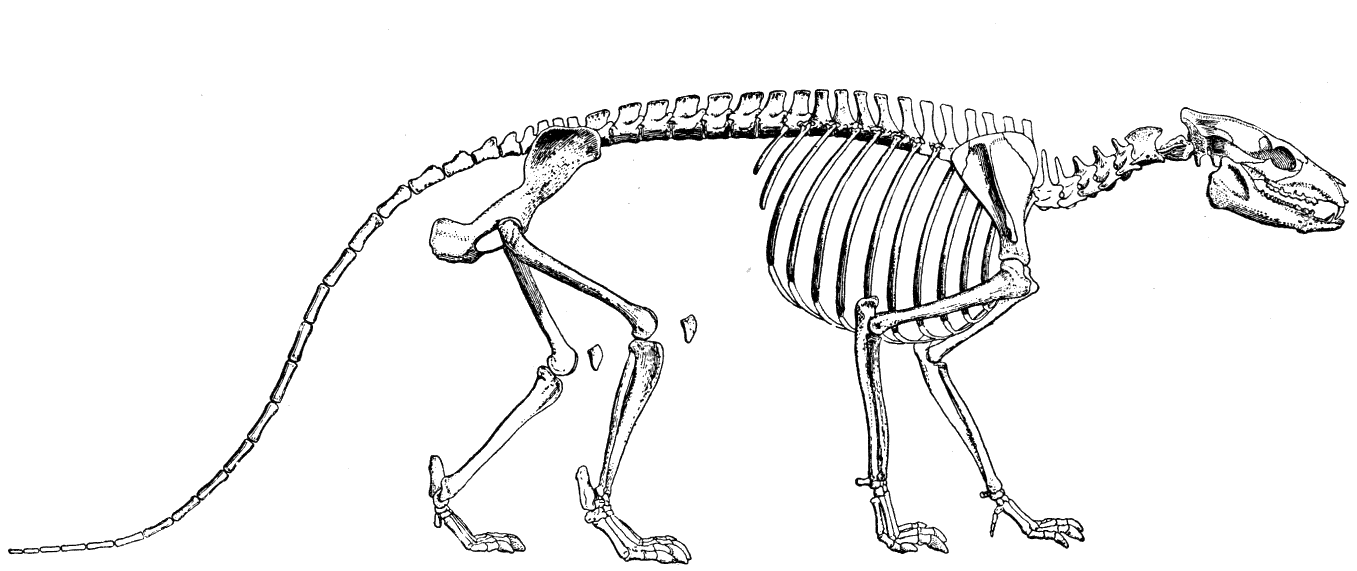 Fig. 178.
