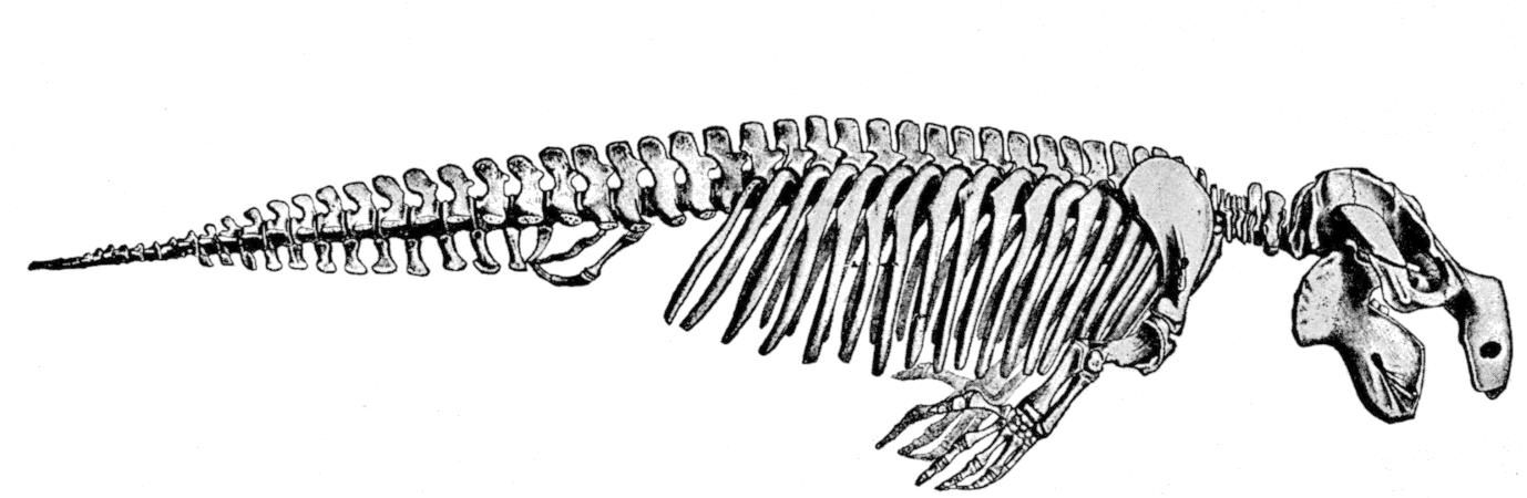 Fig. 179.