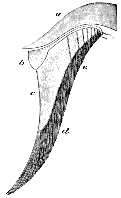 Fig. 189.