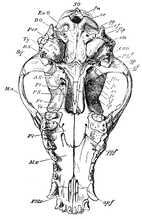 Fig. 190.
