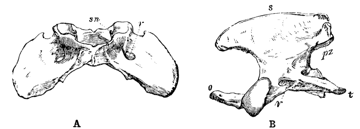 Fig. 191.