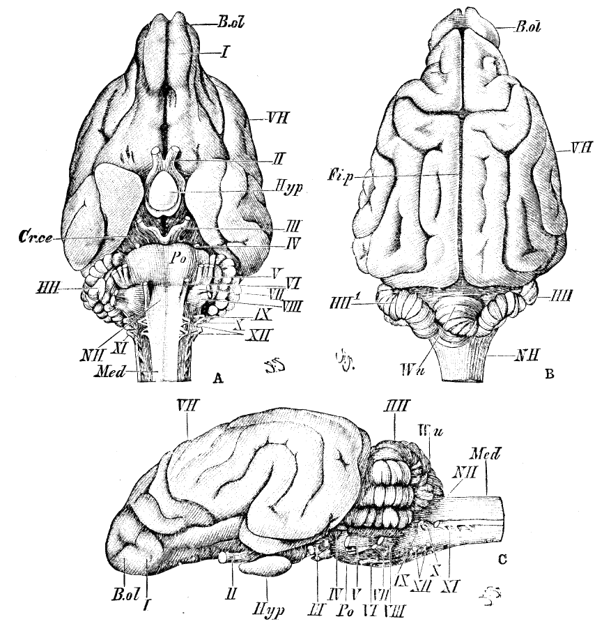 Fig. 192.