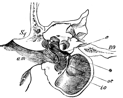 Fig. 193.