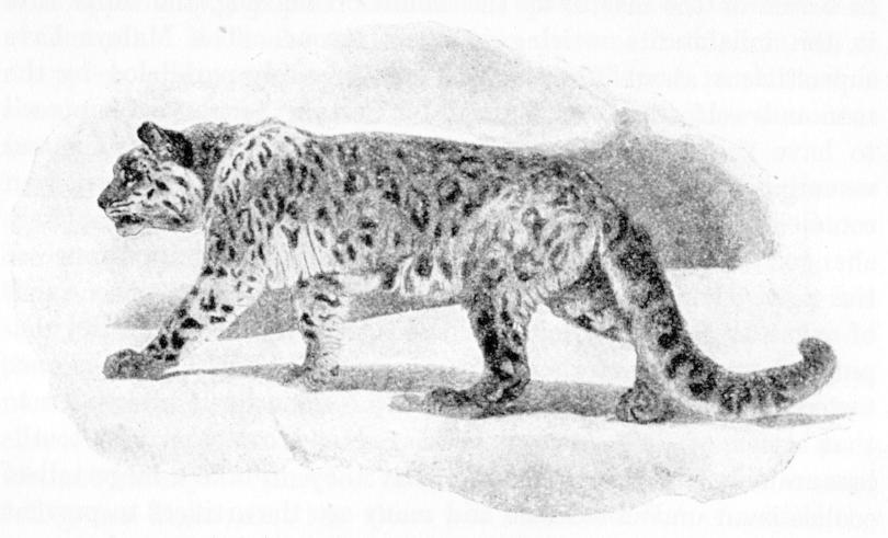 Fig. 195.