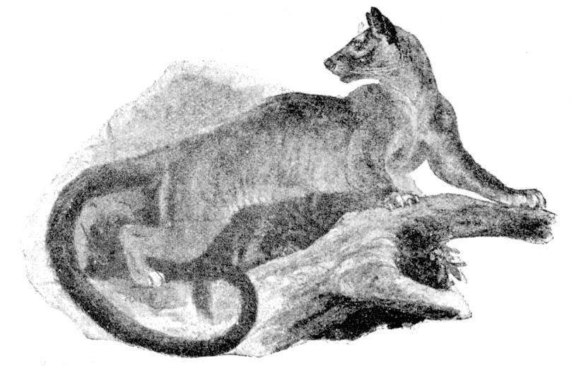 Fig. 199.