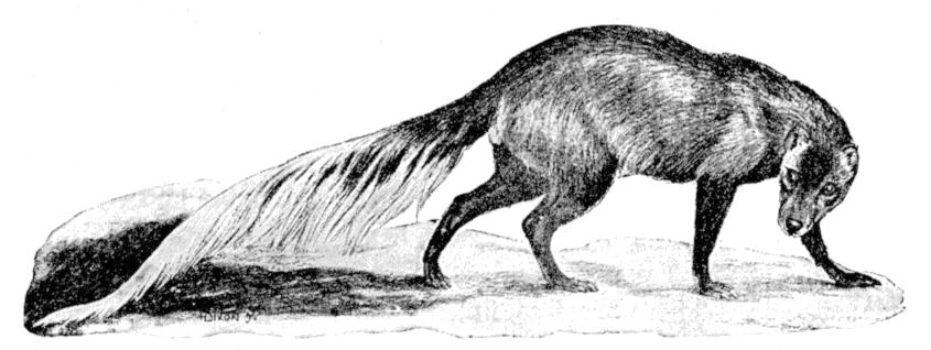 Fig. 202.