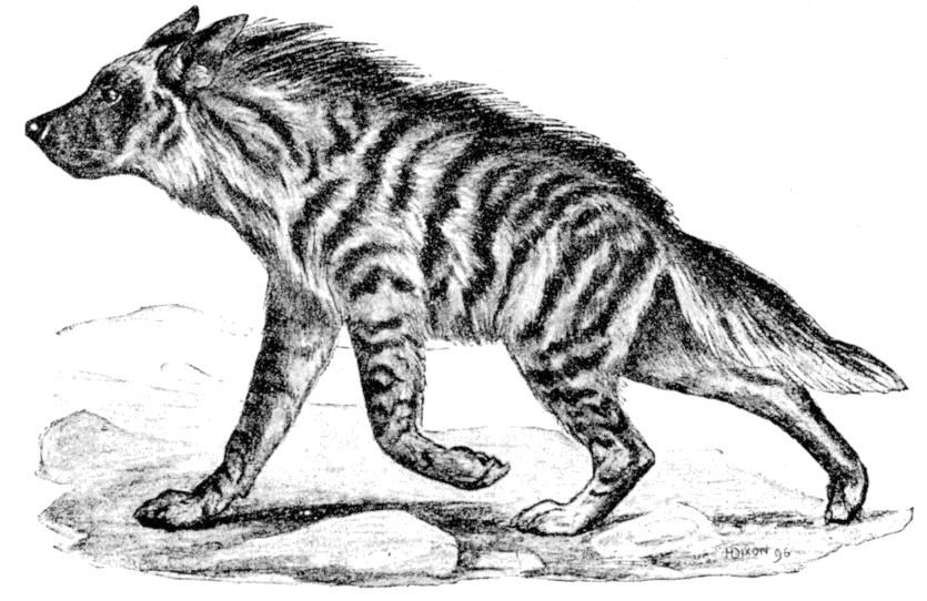 Fig. 205.