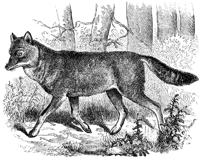 Fig. 209.