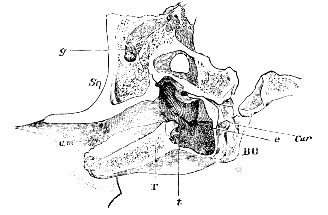 Fig. 212.